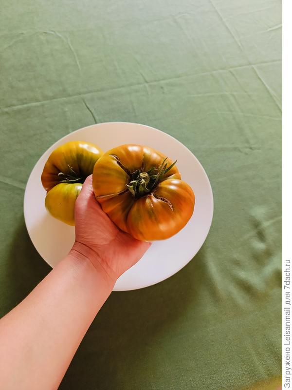 Малахитовая шкатулка, без весов, конечно, что-то даже не подумала об этом)