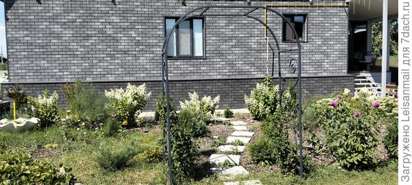 Гортензии цветут умопомрачительно!