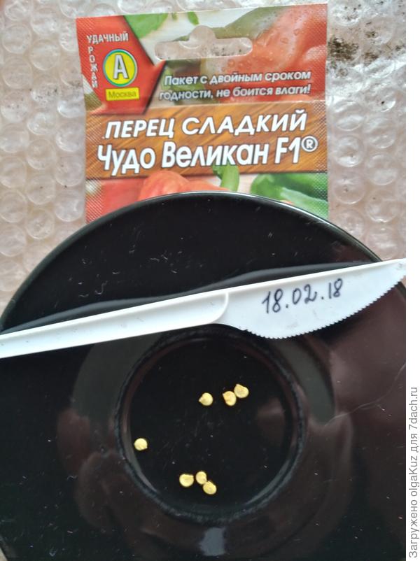 Готовые к посеву семяна