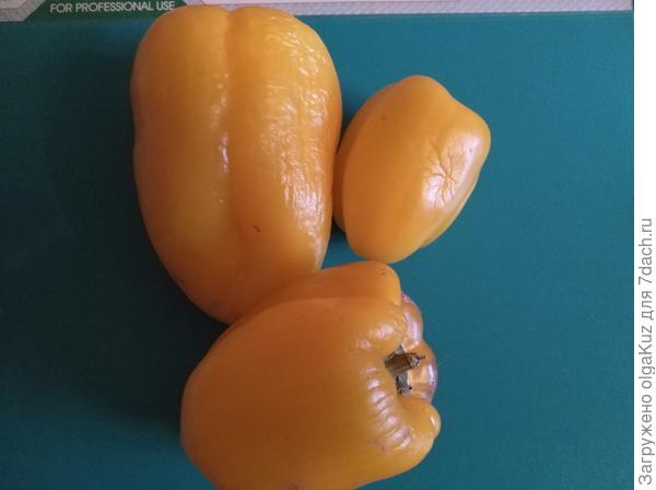 А это плоды Перца Большое Золото 12 ноября.