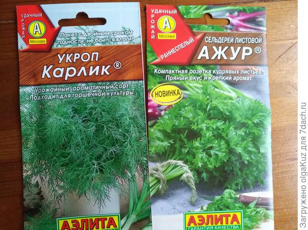 Зелень