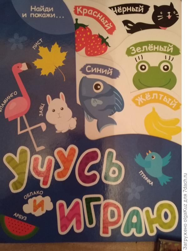 Книга большим планом