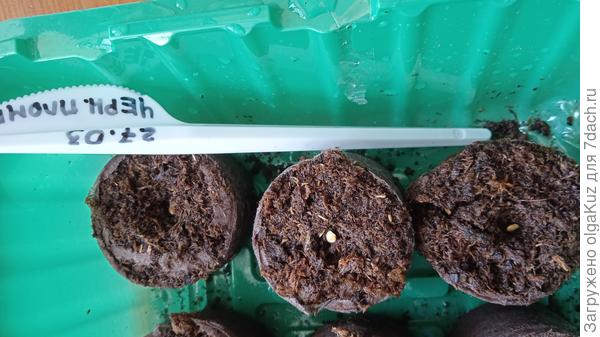 Торфяные таблетки