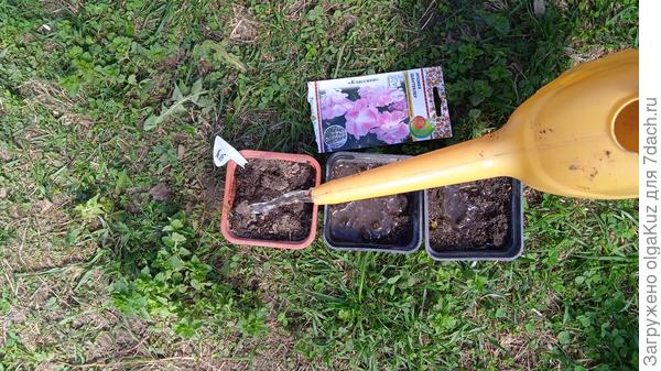 посев семян