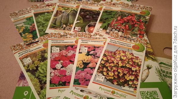 Семена крупным планом