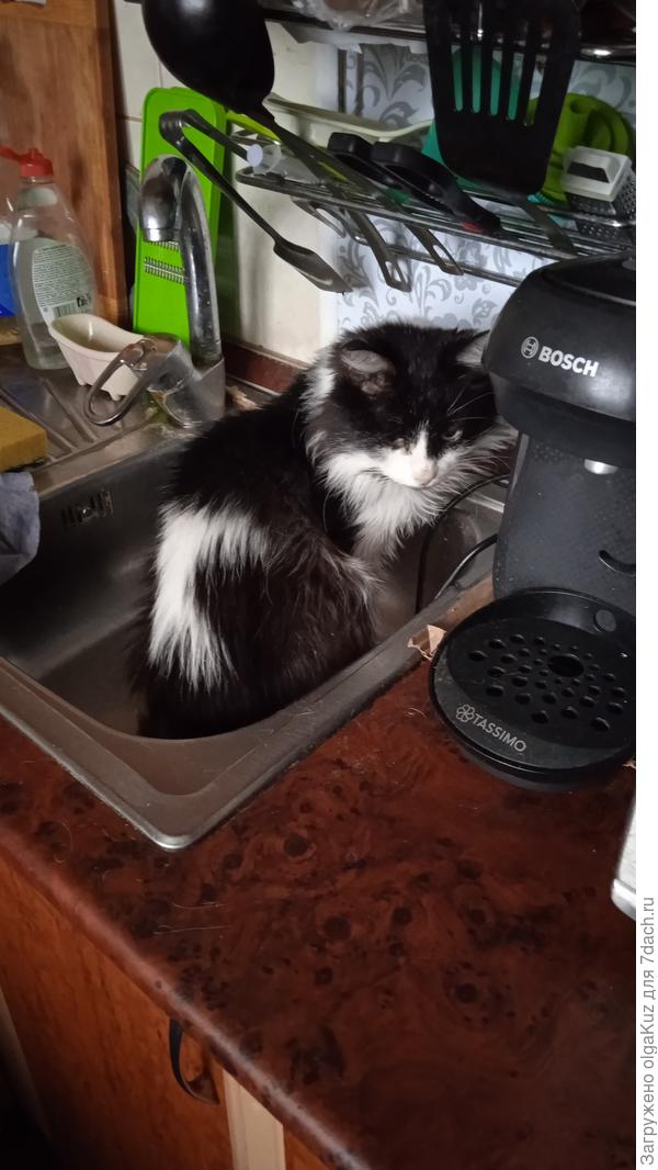 Посуду мыли???