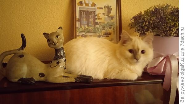 Кто тут самая красивая)))