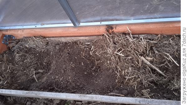 Лунки для рассады