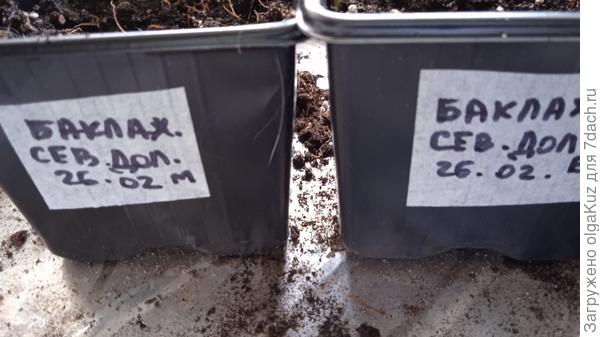 Маркировка горшочков