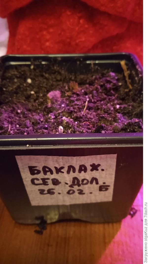 Петельки из горшка с маркировкой Б