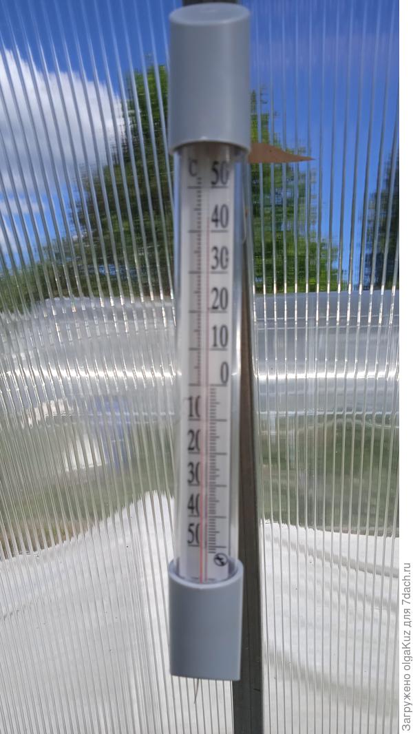 Жара в теплице