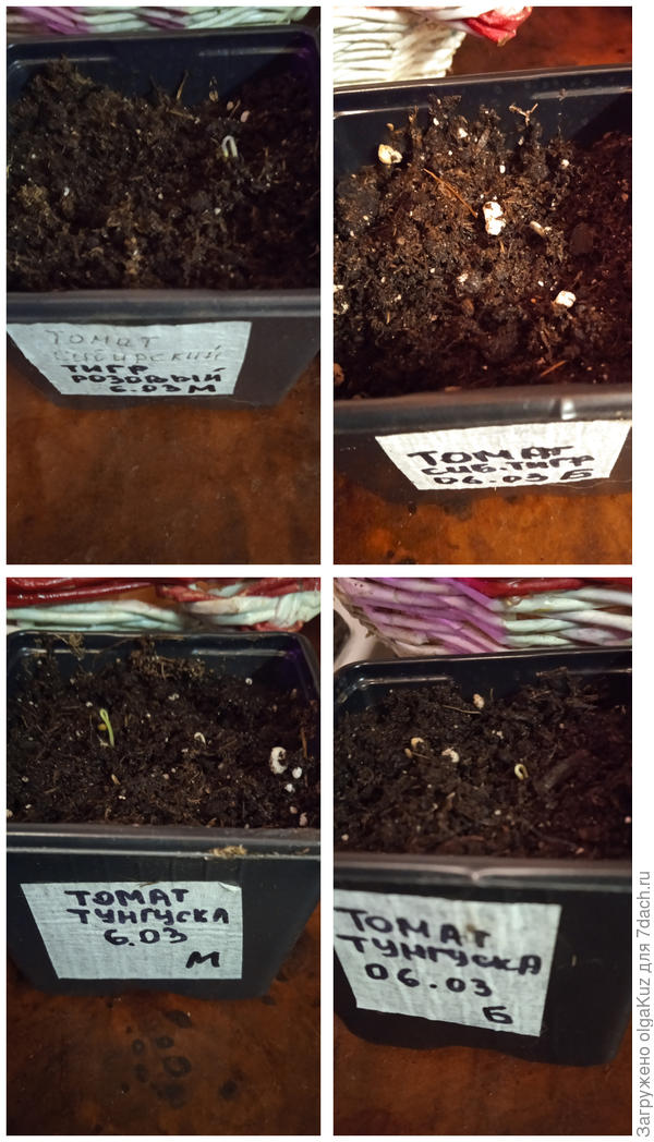 Первые петельки