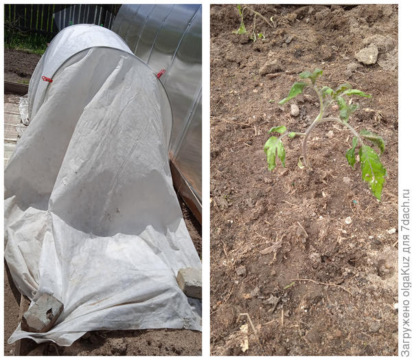 Тунгуска в ОГ 21.05