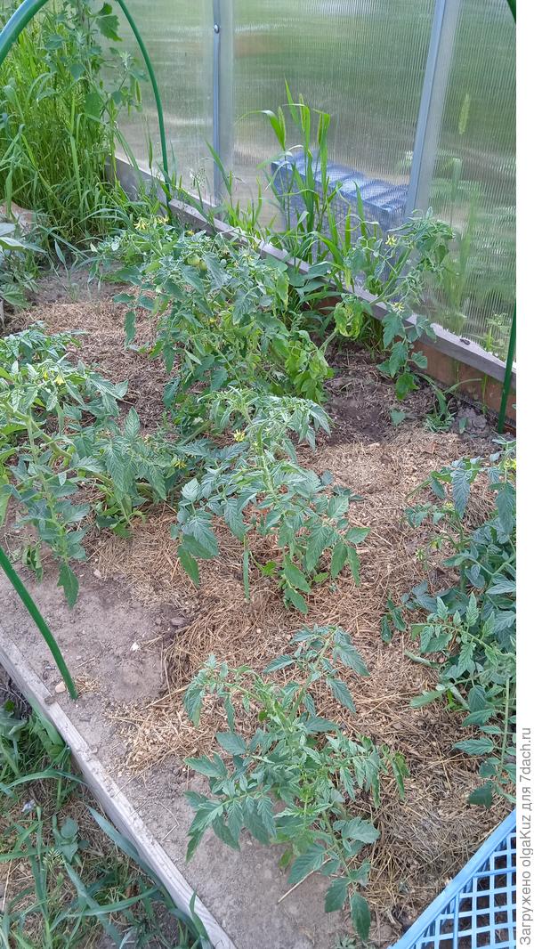 10.07. Тунгуска в ОГ