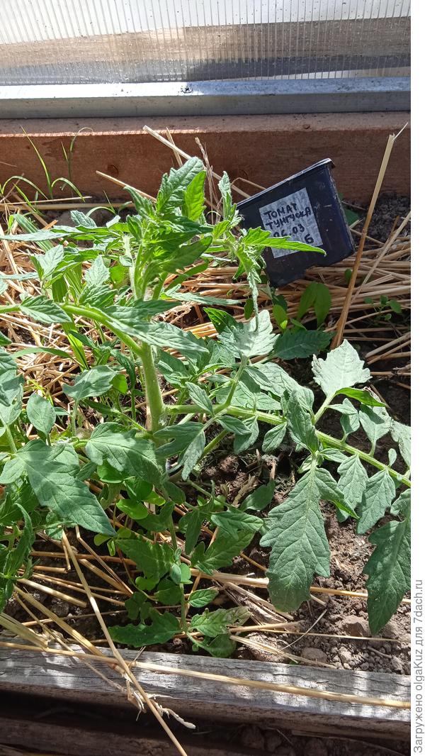 Тунгуска 12.06.22