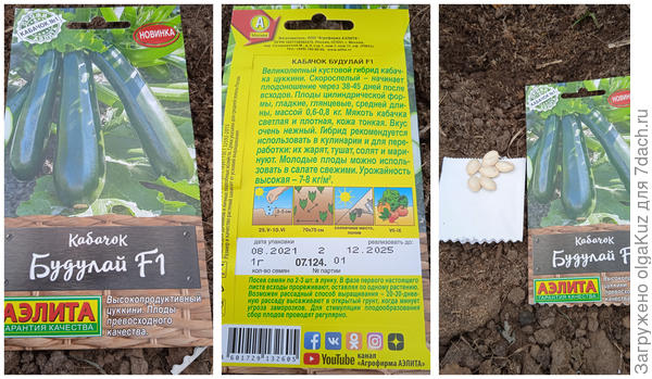 Кабачок Будулай