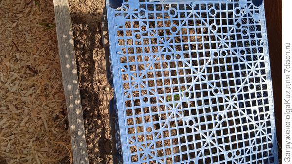 укрытие от жары