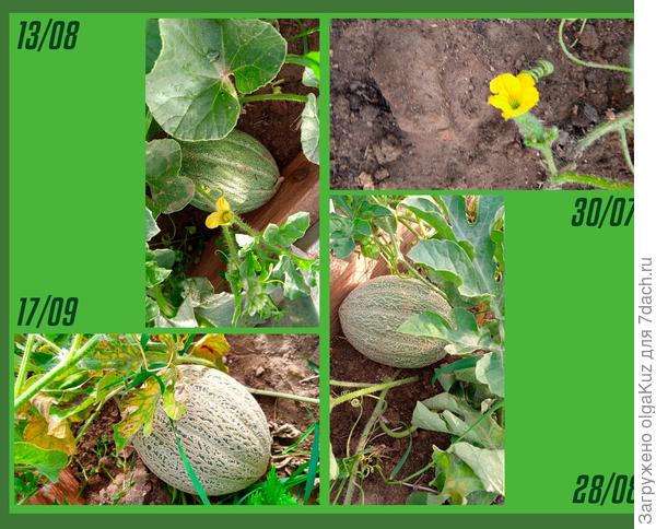 продолжение