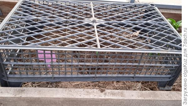 Притенила ящиком