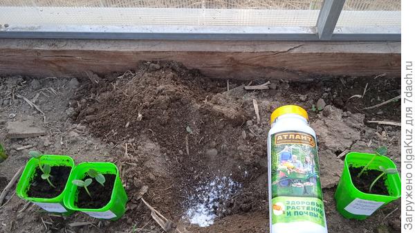 Все по инструкции