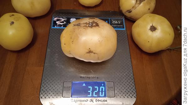 Поврежденные плоды