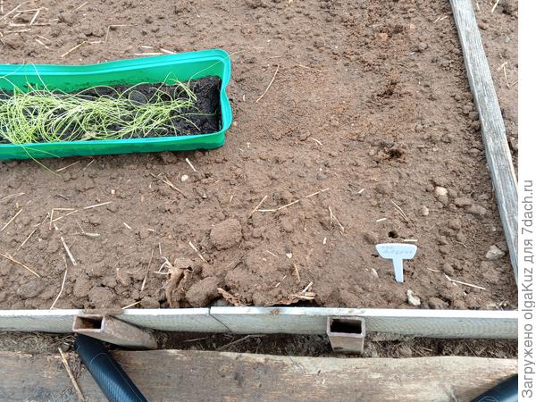 намечаю лунки