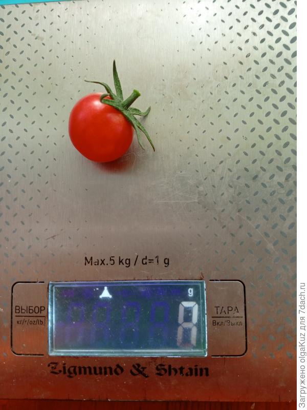 Самый мелкий