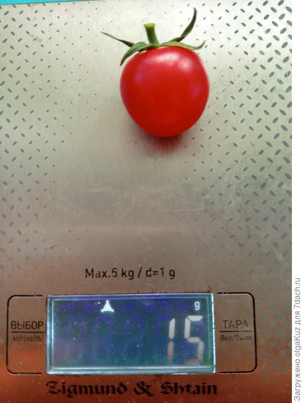 Самый крупный