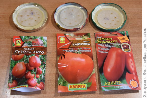 семена томатов от "Аэлита"