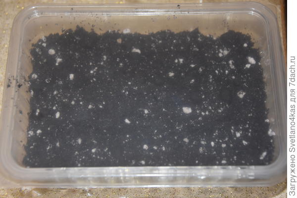 посажены семена