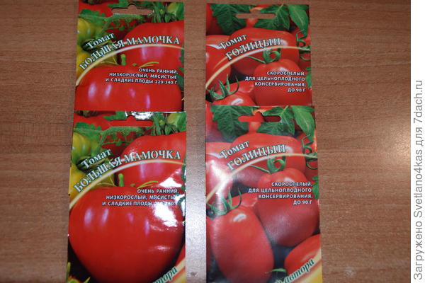 "Большая мамочка", "Голицын"