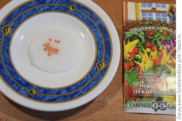 перец замочила