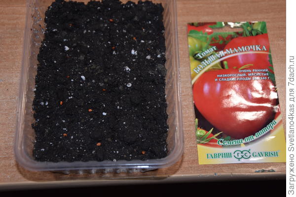 разложила семена.