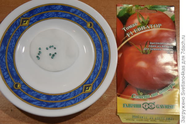 замочила семена