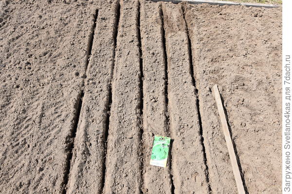 сделала бороздки