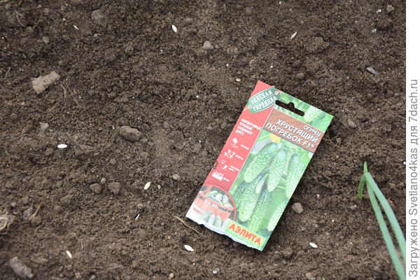 разложила семена