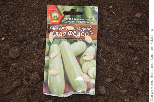 количество семян