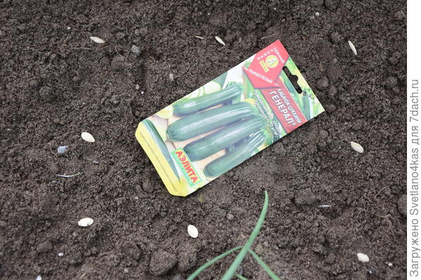 посадка на проращивание