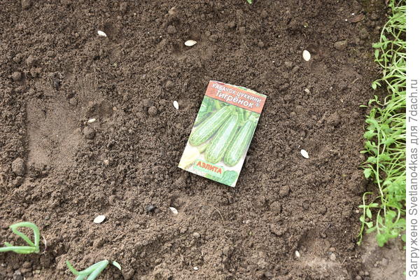 разложила семена