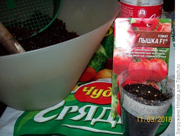 Посев семян 11 марта.