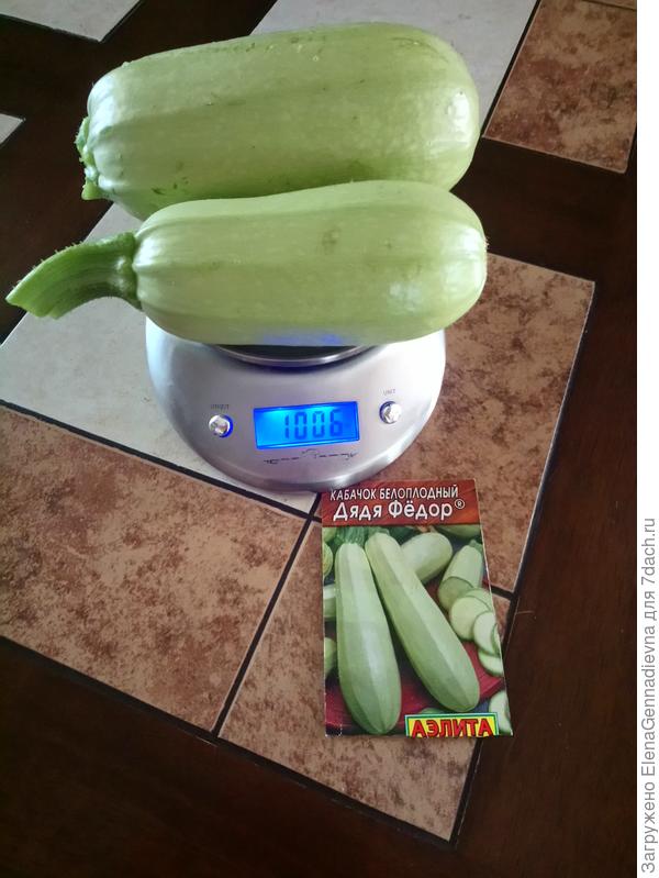 Кабачки