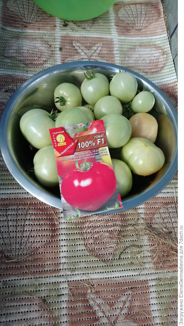 Томаты