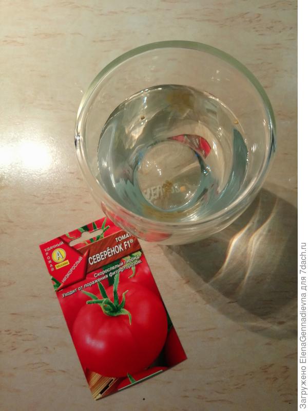 Проверка