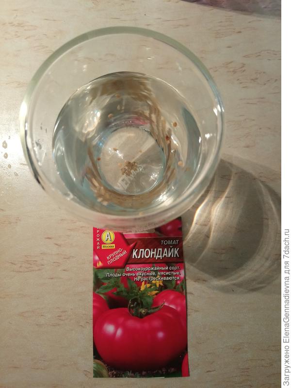Проверка