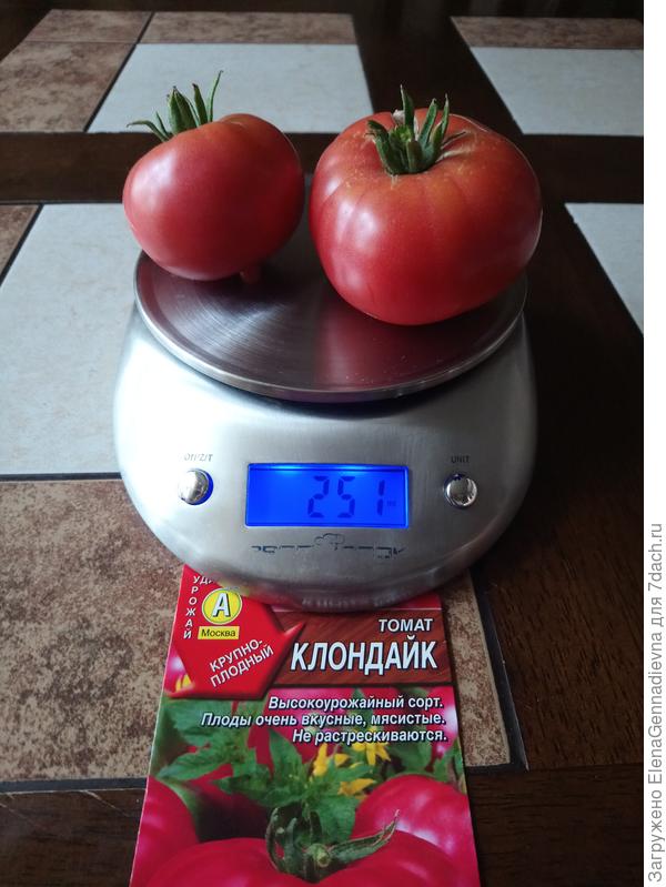 Первые плоды