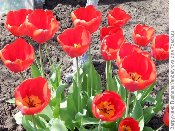 Настроение.