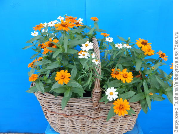 ПОЗДРАВЛЯЮ ПОБЕДИТЕЛЕЙ!!!