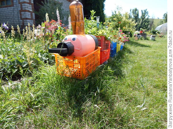 Пыхчу, свищу, цветы везу.