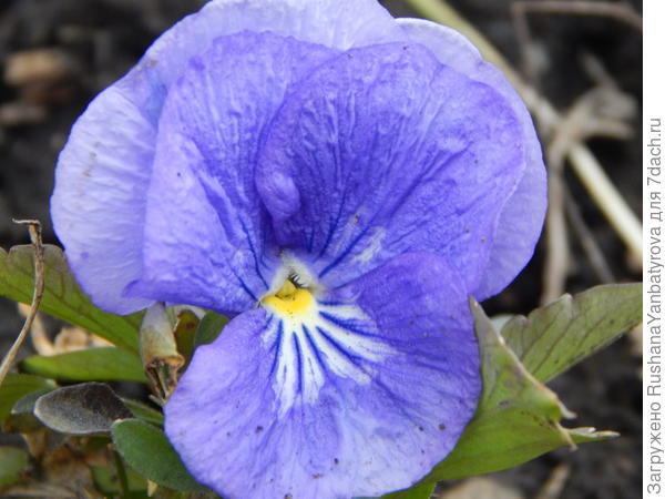 Ей не страшен холодный апрель!