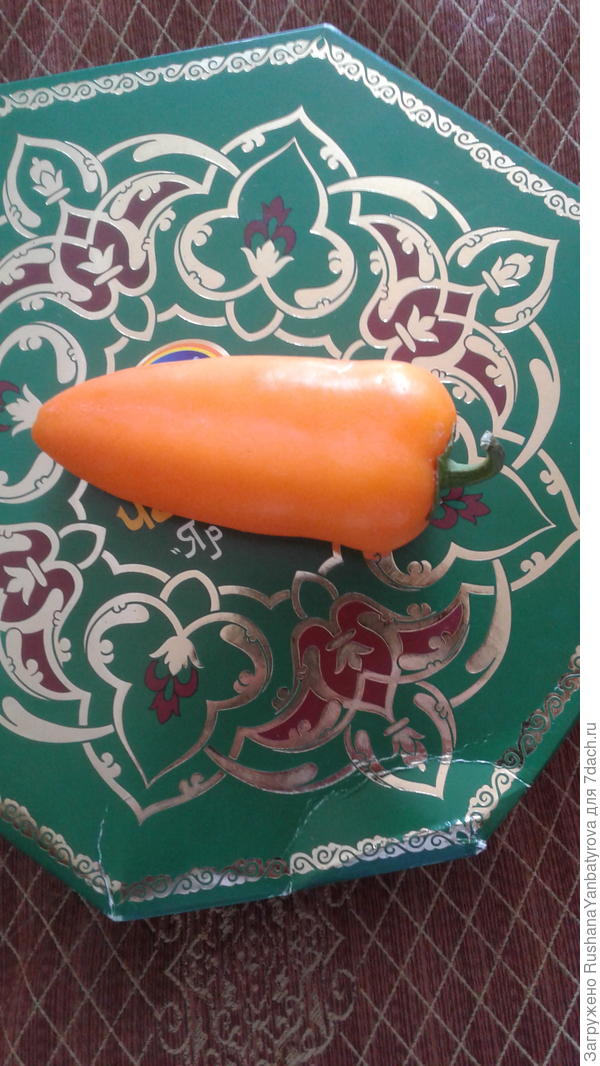 перец Апельсин